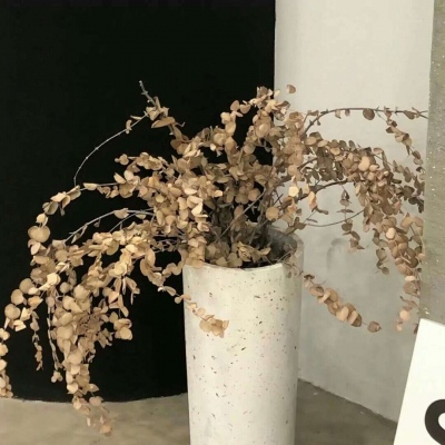 镇沅FurryQQ群介绍